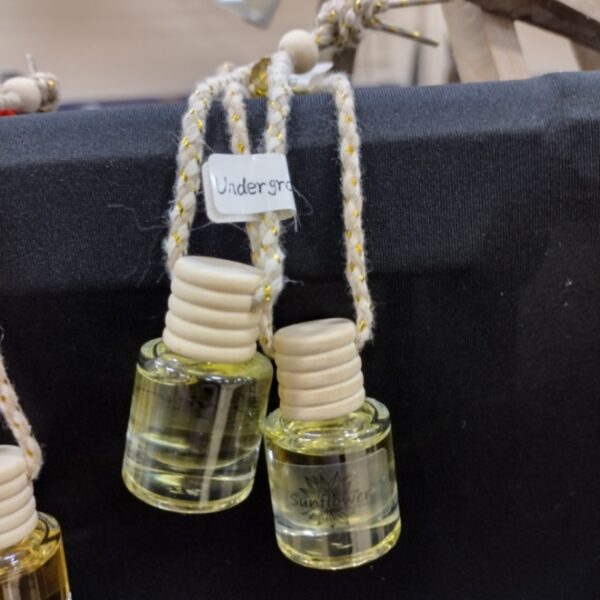 Earth Car Diffuser